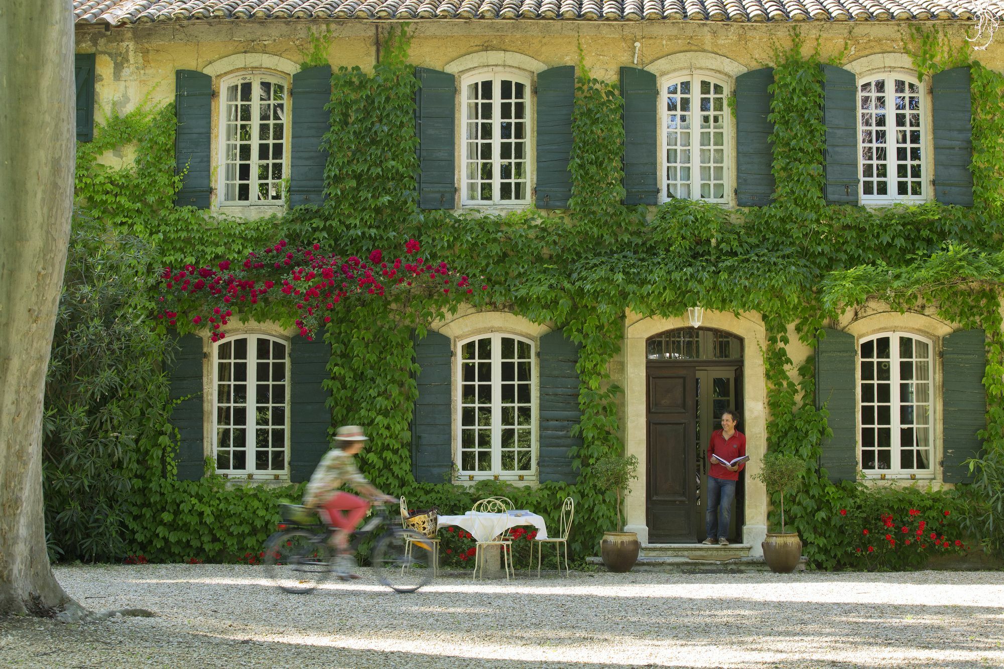 Les Gites Du Domaine De Rhodes Avignon Exterior photo